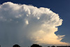 Schöner Schirm nach dem Gewitter