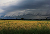 Shelfcloud