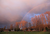 Regenbogen bei Herrsching am Ammersee vor dem im Abendrot verfärbten Niederschlag