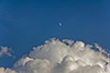 Mond