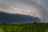 Shelfcloud