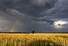 Regenbogen bei Landsberg nach dem Gewitter