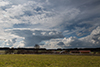 Amboss und Quellwolken