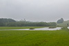 Misthaufen als Inseln in einer anderen Wiese