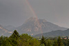 Regenbogen über Neuschwanstein