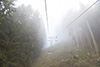 Ab durch den Nebel