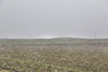Während des Gewitters gabs extremen Wind und waagrechten Schneefall.