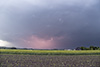 Mehr Bilder der Crawler