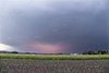 Mehr Bilder der Crawler