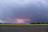 Mehr Bilder der Crawler