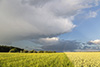 Auf dem Heimweg gabs nochmal einen Regenbogen.