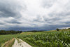 Erste Gewitter am Nachmittag