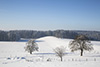 Winterlandschaft