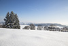 Winterlandschaft