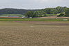 Ein Straßenpfosten wurde in ein Feld geschleudert.