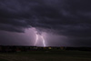 Weitere Bilder: