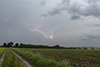 Noch ein Crawler: