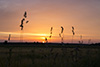Sonnenuntergang am 03.06.2015