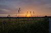 Sonnenuntergang am 03.06.2015