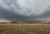 Weitere Bilder: