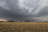 Weitere Bilder:
