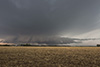 Weitere Bilder: