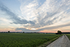 Sonnenuntergang bei Thaining