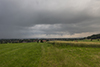 Feuchtigkeit: