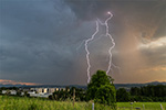 Crawler, Regenbogen