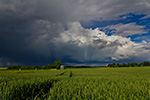 Gewitter