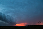 Shelfcloud