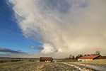 Schneegewitter
